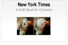 New York Times - A Soft Spot for Circuitry